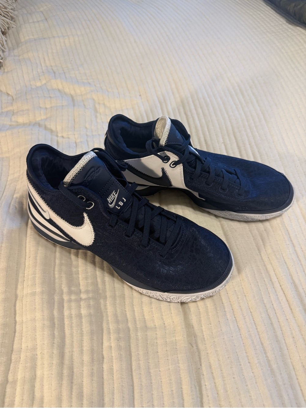 Nike Zoom LeBron NXXT Gen TB Promo Navy